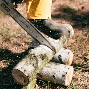 Emergency First Aid at Work (EFAW) Forestry