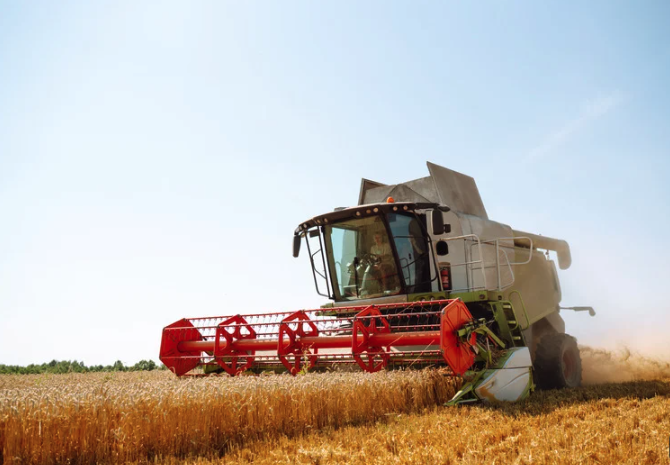 Screenshot 2025-07-11 at 11.37.11